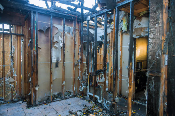 Professional Fire Damage Removal technician working in Joppa, MD